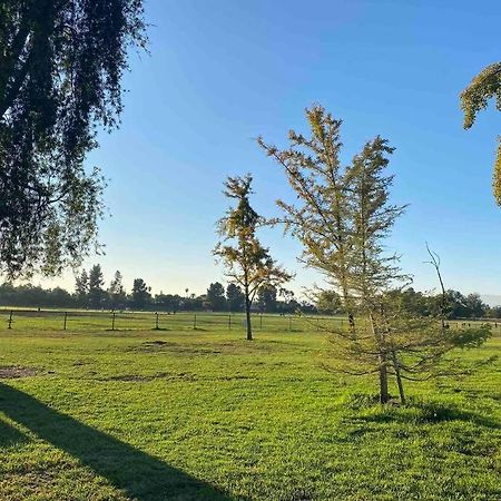 Hidden Gem La 2Bd House With Dreamy Backyard Villa Los Angeles Exteriör bild
