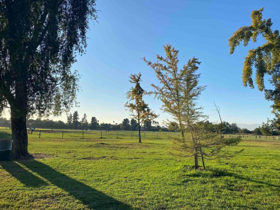 Hidden Gem La 2Bd House With Dreamy Backyard Villa Los Angeles Exteriör bild